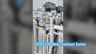 200L/H Commercial Reverse Osmosis Water Treatment System for Drinking Water